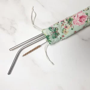 Steel Straws and Bag