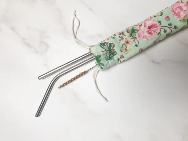Steel Straws and Bag