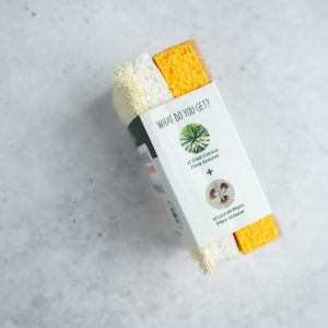 Sponge Scourer