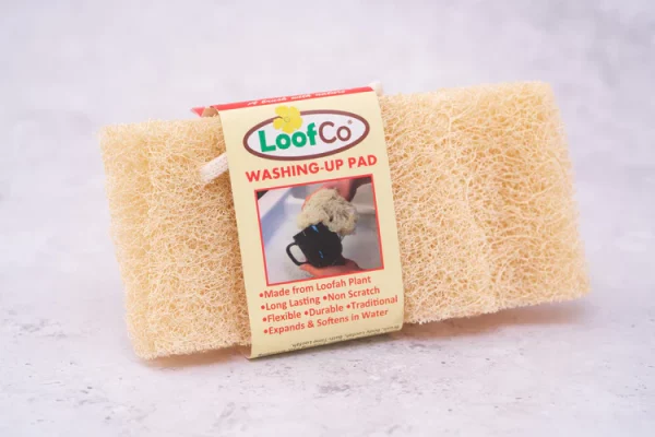 Washing Up Loofa